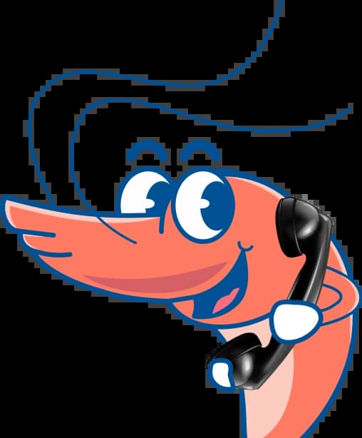 customerService