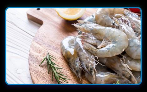 raw-shrimp-image