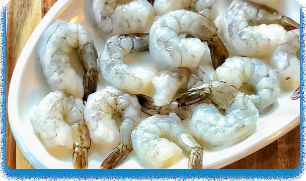 shrimp-supply-image